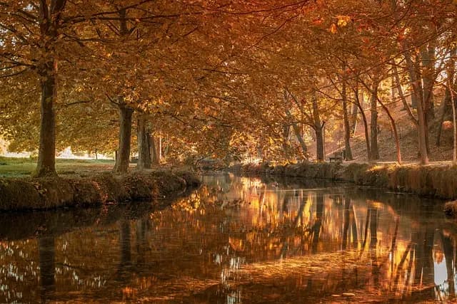 Découvrez les spas de luxe abordables pour se détendre