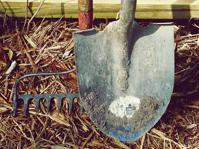 Best Productivity Tools for 2026: Comprehensive Comparison