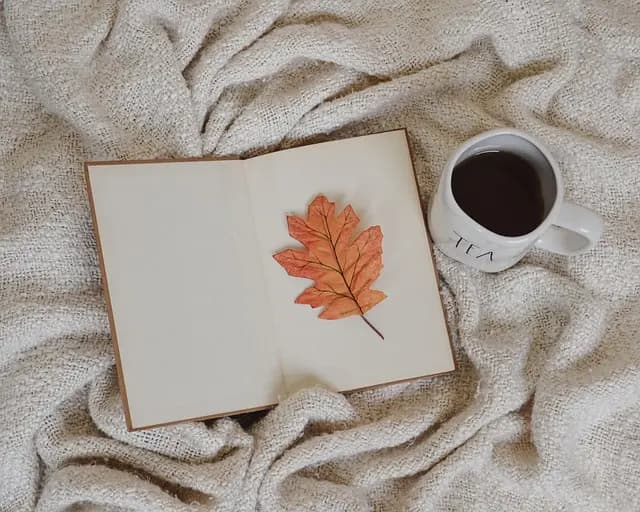 Essential Leadership Books for Business Development
